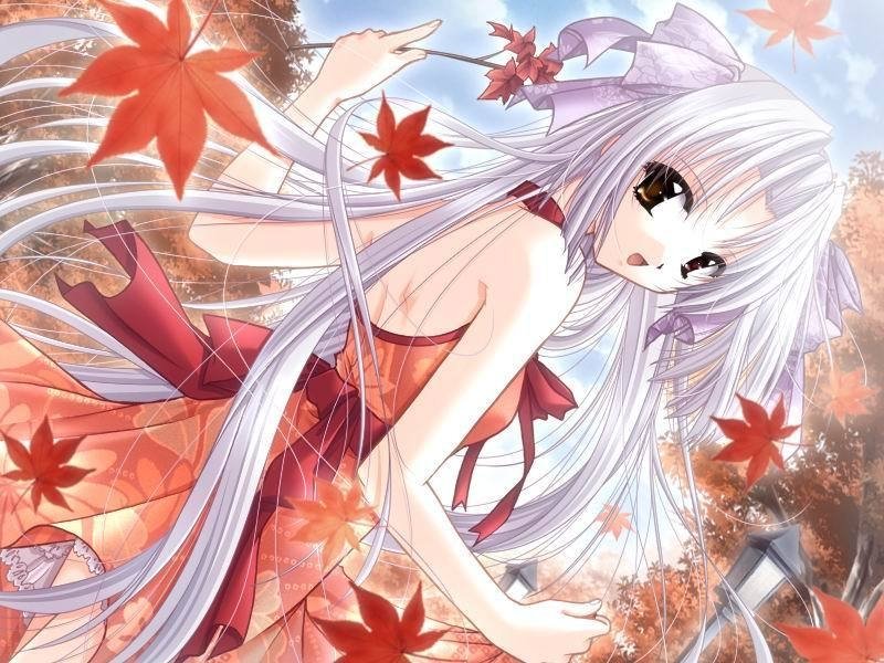 将会是什么动漫