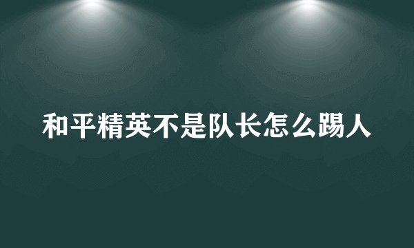 和平精英不是队长怎么踢人