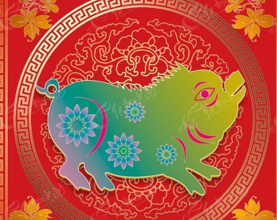 情同骨肉猜生肖