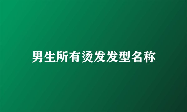 男生所有烫发发型名称