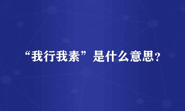 “我行我素”是什么意思？