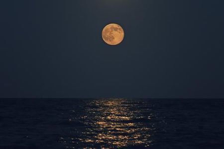 《观月记》翻译是什么？