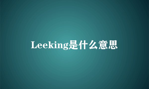 Leeking是什么意思