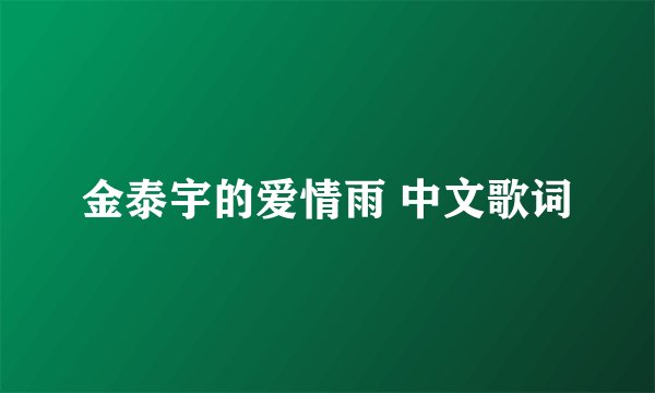金泰宇的爱情雨 中文歌词