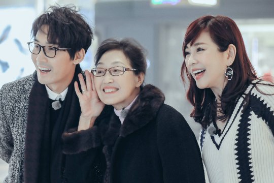 我老婆的妈妈2的剧情简介