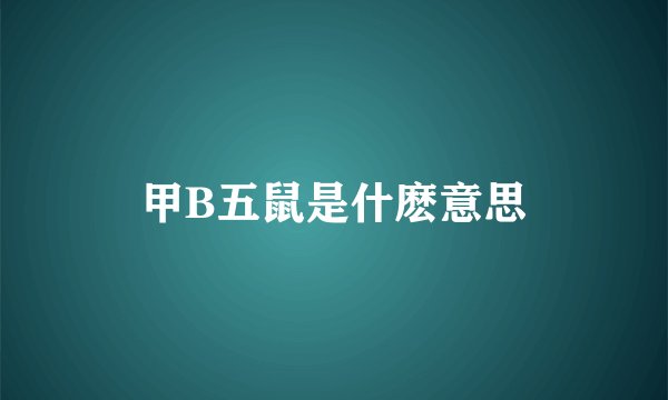 甲B五鼠是什麽意思