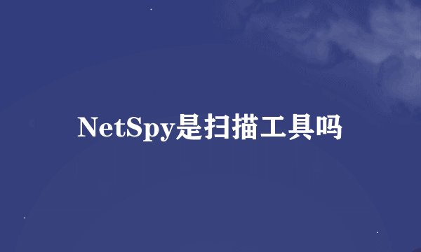 NetSpy是扫描工具吗