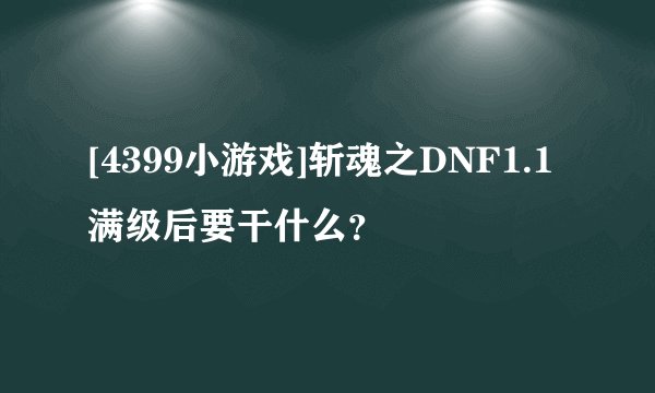 [4399小游戏]斩魂之DNF1.1满级后要干什么？