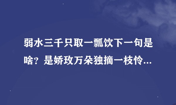 弱水三千只取一瓢饮下一句是啥？是娇玫万朵独摘一枝怜，还是沧海万顷维系一江潮?这句子出自哪？什么意思？