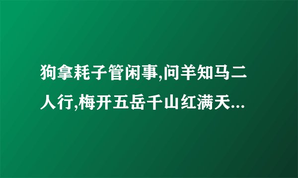 狗拿耗子管闲事,问羊知马二人行,梅开五岳千山红满天星星一盏灯打什么生肖