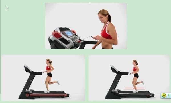 尚体网的尚体品牌