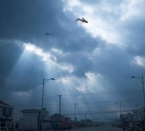 600分跪求大连金州湾四龙升天图！！！