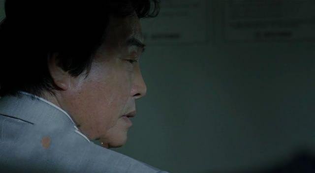 伟大的族谱的剧情简介