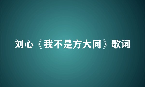 刘心《我不是方大同》歌词
