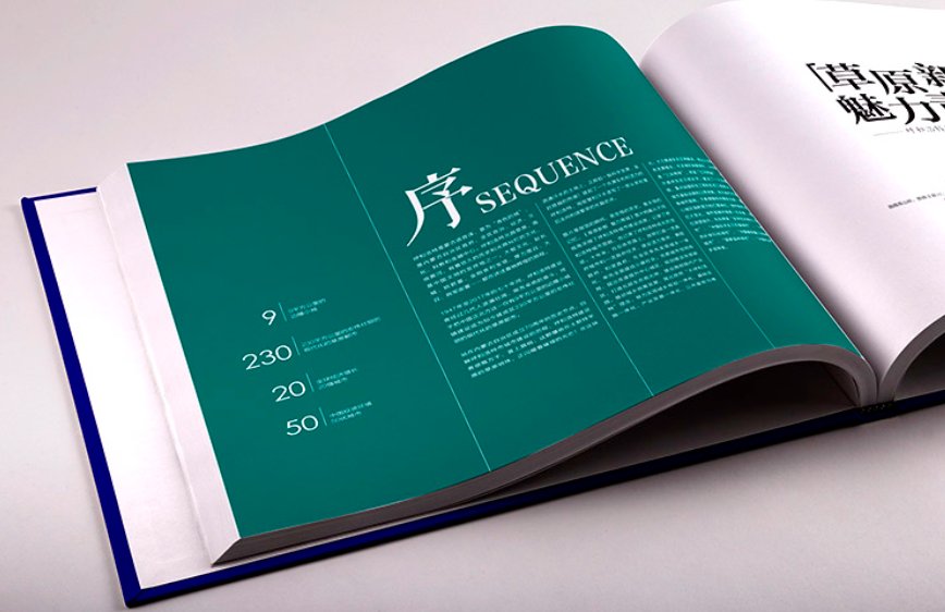 苏卡是什么意思?