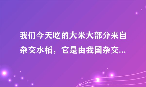 我们今天吃的大米大部分来自杂交水稻，它是由我国杂交水稻创始人（   ）发明的，被西方世界称为（   ）。