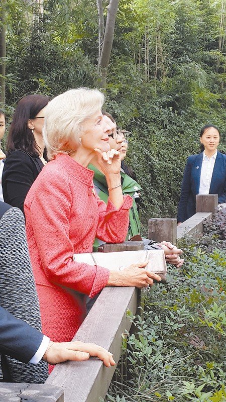 昆廷·布赖斯的基本简介