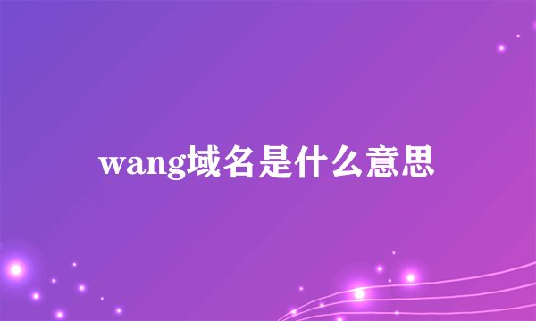 wang域名是什么意思