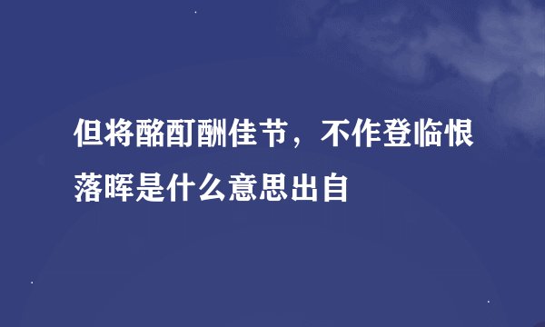 但将酩酊酬佳节，不作登临恨落晖是什么意思出自