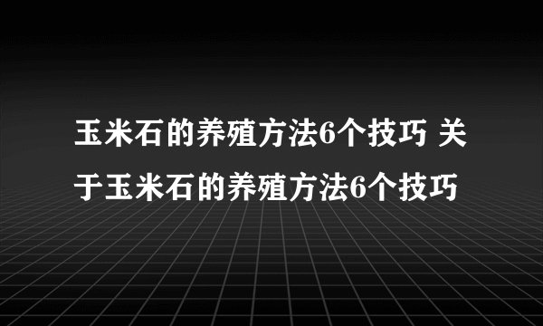 玉米石的养殖方法6个技巧 关于玉米石的养殖方法6个技巧