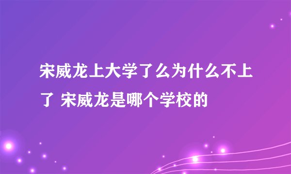 宋威龙上大学了么为什么不上了 宋威龙是哪个学校的