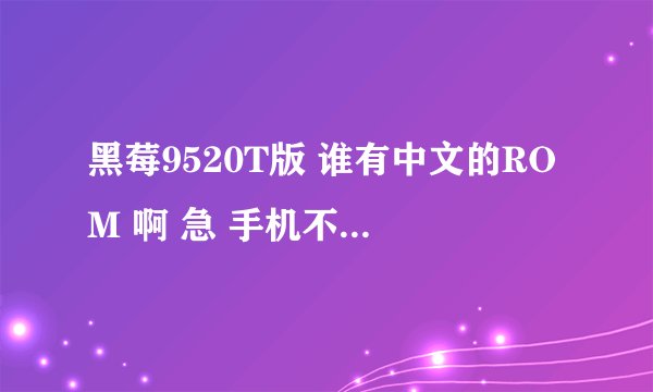 黑莓9520T版 谁有中文的ROM 啊 急 手机不能 用了 帮帮忙了