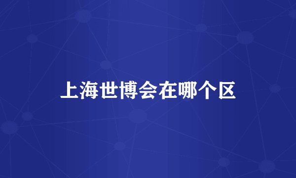 上海世博会在哪个区