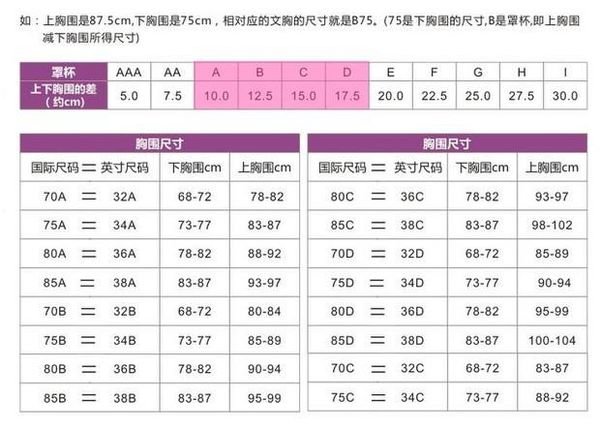 文胸上32A和34A都是什么意思啊。