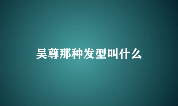 吴尊那种发型叫什么
