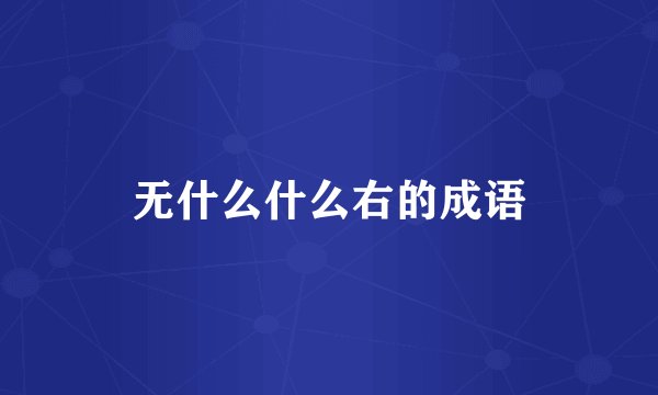 无什么什么右的成语