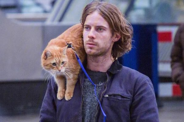 适合一个人凌晨三点看电影