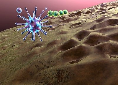 吞噬的意思是什么