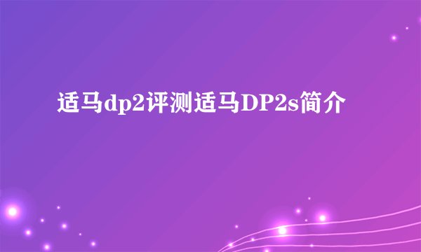 适马dp2评测适马DP2s简介