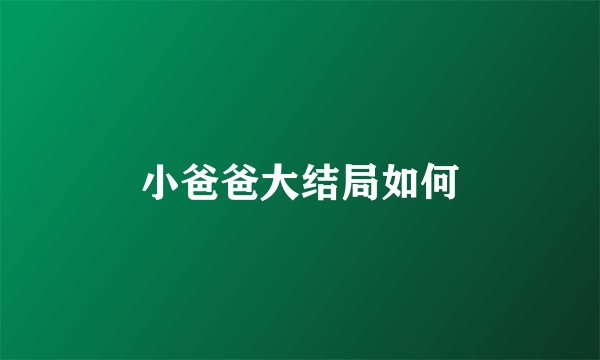 小爸爸大结局如何