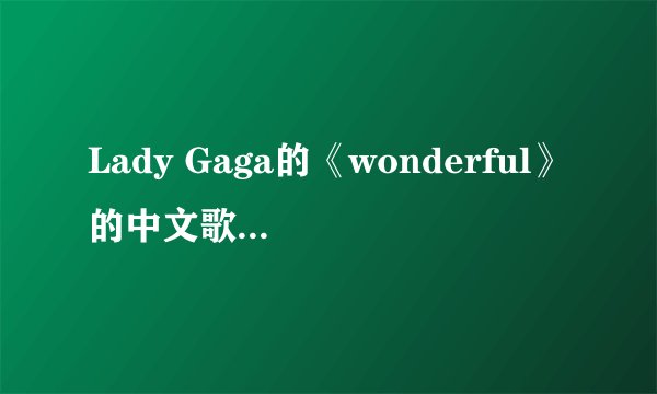 Lady Gaga的《wonderful》的中文歌词，要精准度高！