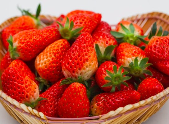 华南地区最大草莓种苗繁育基地在哪？