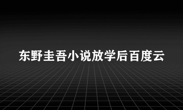 东野圭吾小说放学后百度云