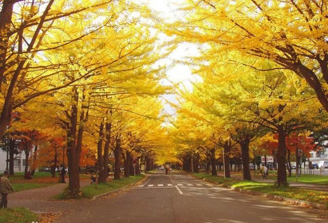 “秋意渐浓”下一句可以写什么？