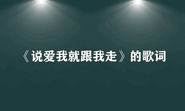《说爱我就跟我走》的歌词
