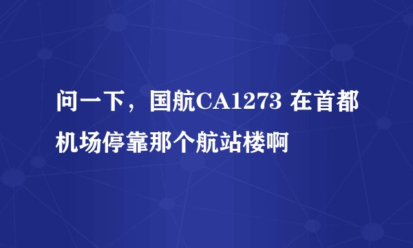 问一下，国航CA1273 在首都机场停靠那个航站楼啊