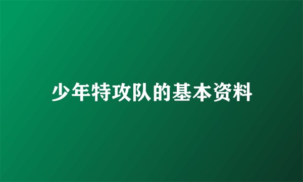 少年特攻队的基本资料