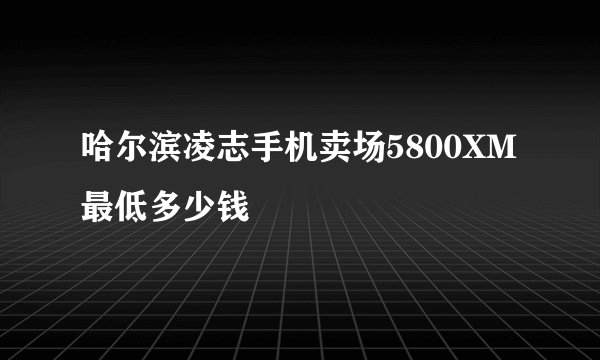 哈尔滨凌志手机卖场5800XM最低多少钱
