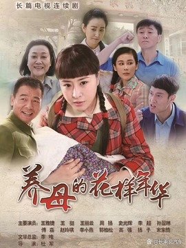 养母的花样年华电视剧的剧情介绍