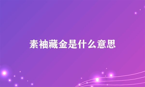 素袖藏金是什么意思