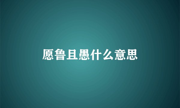 愿鲁且愚什么意思