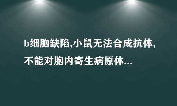 b细胞缺陷,小鼠无法合成抗体,不能对胞内寄生病原体产生免疫反应