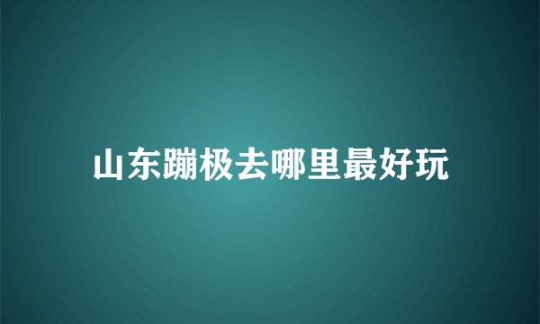 山东蹦极去哪里最好玩