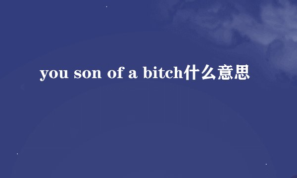 you son of a bitch什么意思