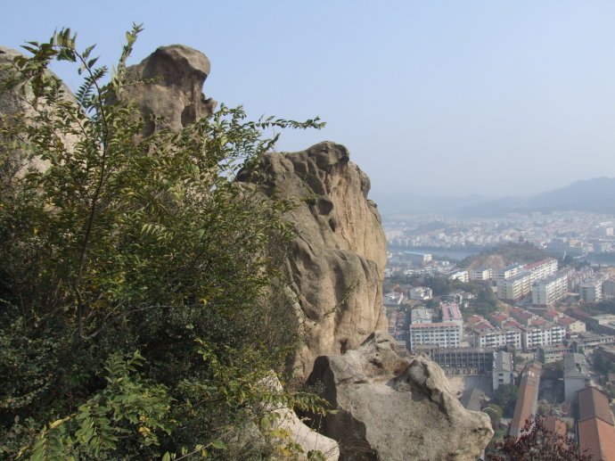 种出另一个天地的介绍