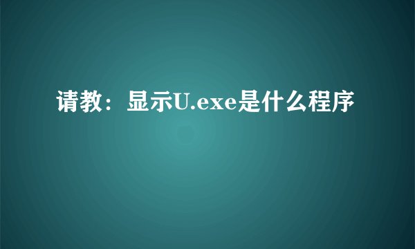 请教：显示U.exe是什么程序